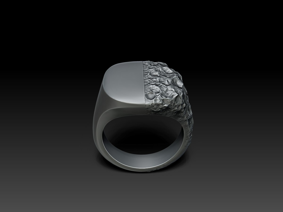 Sculpted signet ring. Custom Jewellery. 3D Rendering.